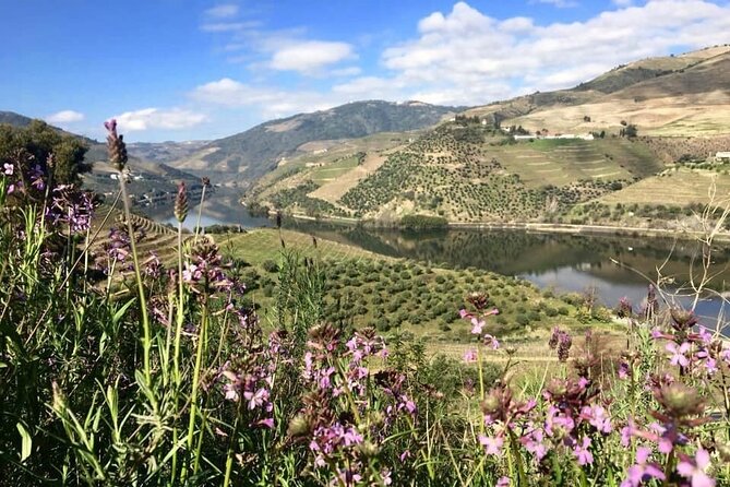 Douro Valley and Régua Panoramic Cruise With Lunch From Porto - Common questions