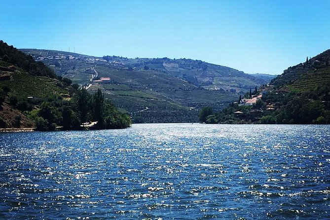 Douro Valley: Food and Wine Small Group Tour From Porto - Overall Customer Satisfaction