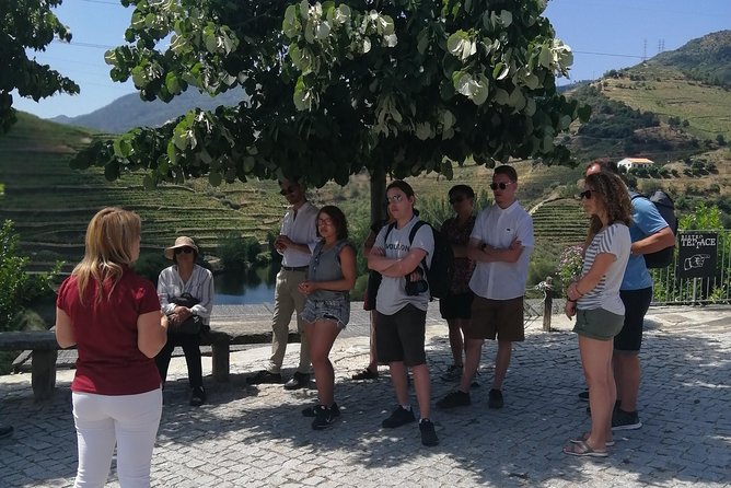 DOURO VALLEY in 8 Pax Groups W/ 2 Wineries, Lunch and 1h Cruise - Booking Information
