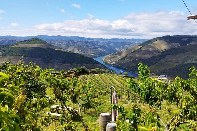 Douro Valley Small-Group Tour: 2 Wineries, Lunch, Optional Cruise - Common questions