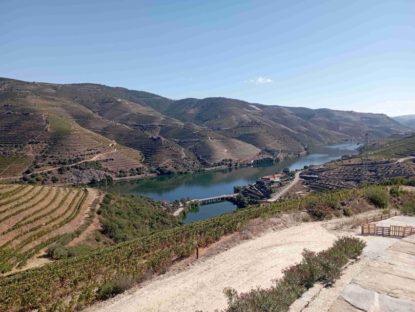 Douro Valley Wine Tour, Lunch River Cruise, 12 Wines Tasting - Participant Information