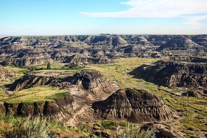 Drumheller (Dinosaur Valley) & Horseshoe Canyon 1-Day Tour - Average Rating Insights