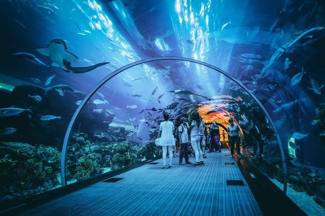 Dubai Aquarium and Underwater Zoo Admission Ticket With Options - Common questions