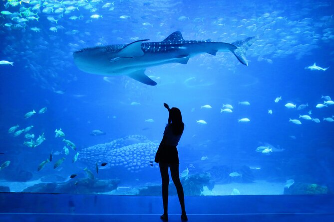 Dubai Aquarium and Underwater Zoo - Common questions