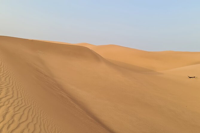 Dubai Desert 4x4 Dune Bashing, Self-Ride 30min ATV Quad, Camel Ride,Shows,Dinner - Traveler Reviews