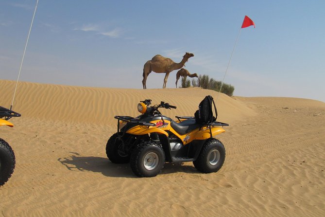 Dubai Desert Afternoon Quad Safari With Camel Ride, BBQ Dinner and Belly Dancing - Recommendations and Overall Experience