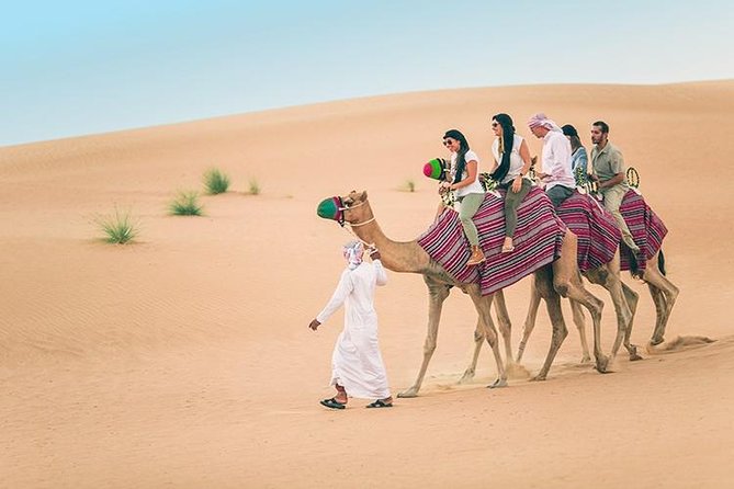 Dubai Desert Red Dune Half-Day Safari Adventure and BBQ Dinner - Important Details