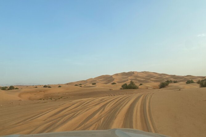 Dubai Desert Safari, Camel, Live BBQ & Shows (Private 4x4 Car) - Last Words