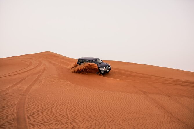 Dubai Desert Safari: Experience the Best of the Arabian Desert - Last Words