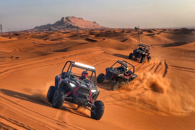 Dubai Desert Safari With Camel Ride and Sand Boarding - Last Words