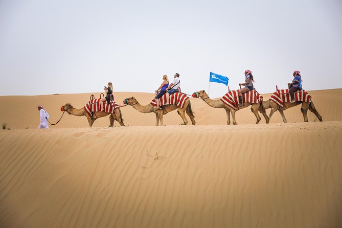 Dubai: Half-Day Quad Bike Safari, Camel Ride & Refreshment - Positive Experiences