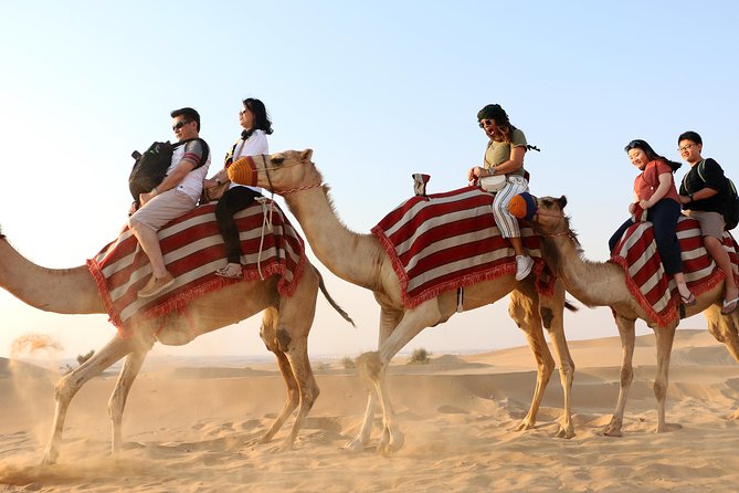 Dubai Lahbab Desert Safari With BBQ Dinner - Contact and Support