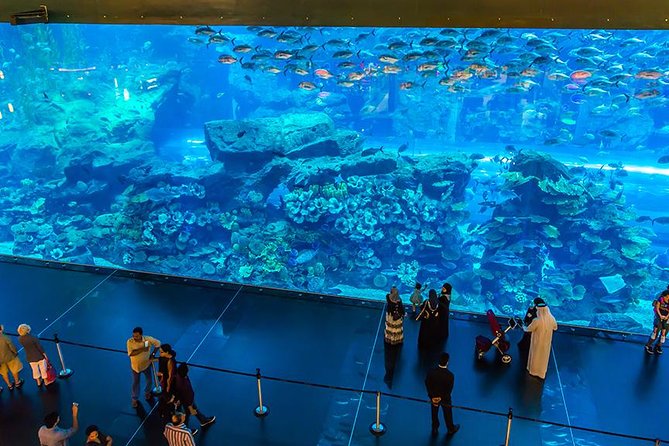 Dubai Mall Aquarium & Underwater Zoo - Common questions