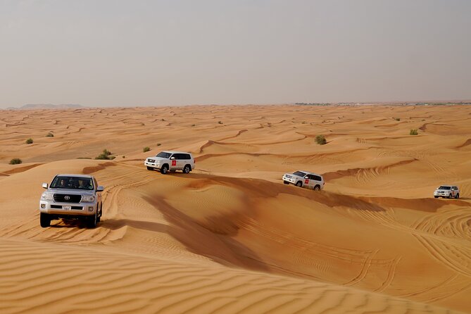 Dubai Morning Desert Safari With Quad Biking & More Activities - Booking Details