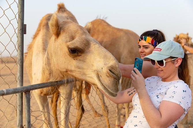 Dubai Premium Desert Safari With BBQ Dinner in Red Dunes - Last Words