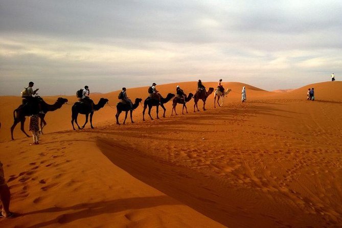 Dubai Red Dunes Safari, Camel Ride, Fire Show, BBQ Dinner - Traveler Reviews