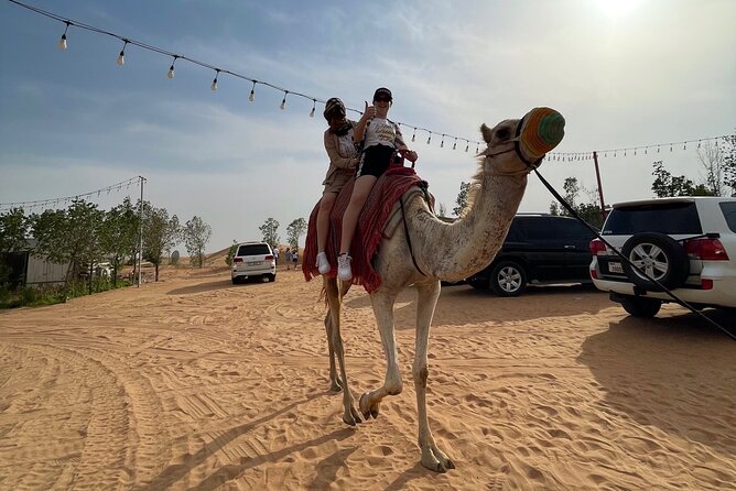 Dubai: Red Dunes, Sandsurf, Camel Ride, BBQ Dinner at Desert Camp - Common questions