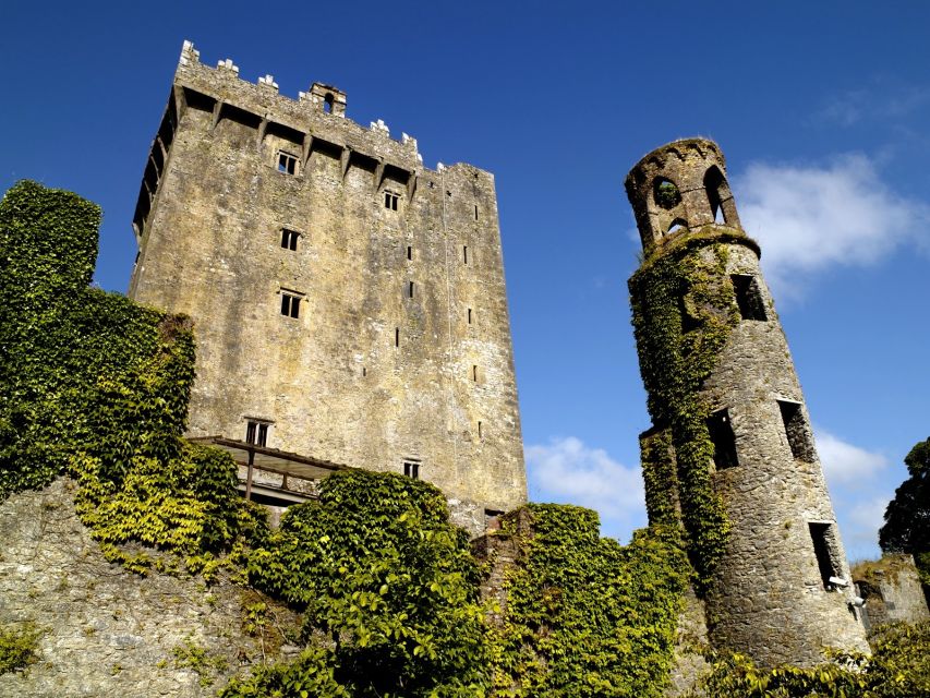Dublin: Blarney Castle Small Group Tour - Highlights of the Tour