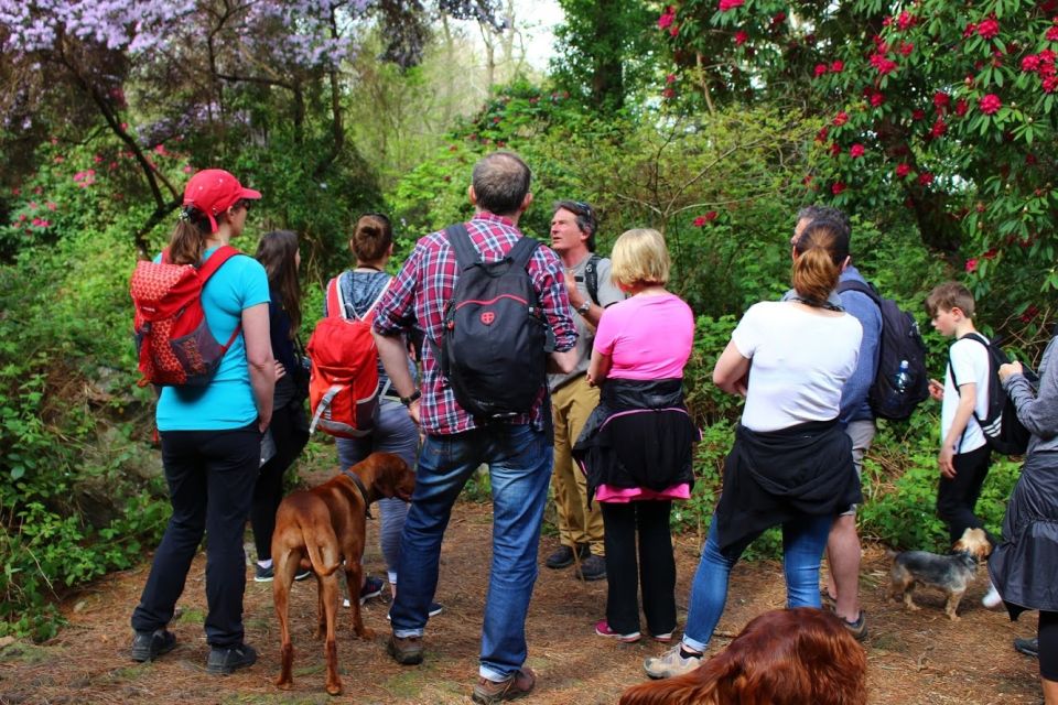 Dublin: Dublin Coastal Hiking Tour With Howth Adventures - Customer Reviews and Recommendations