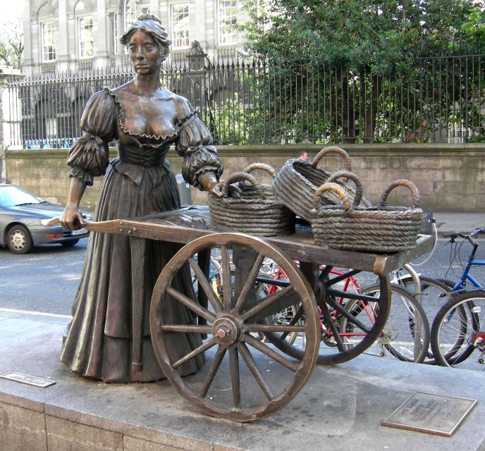 Dublin: Visita Privada a Los Monumentos De La Ciudad En Español - Meeting Point Options