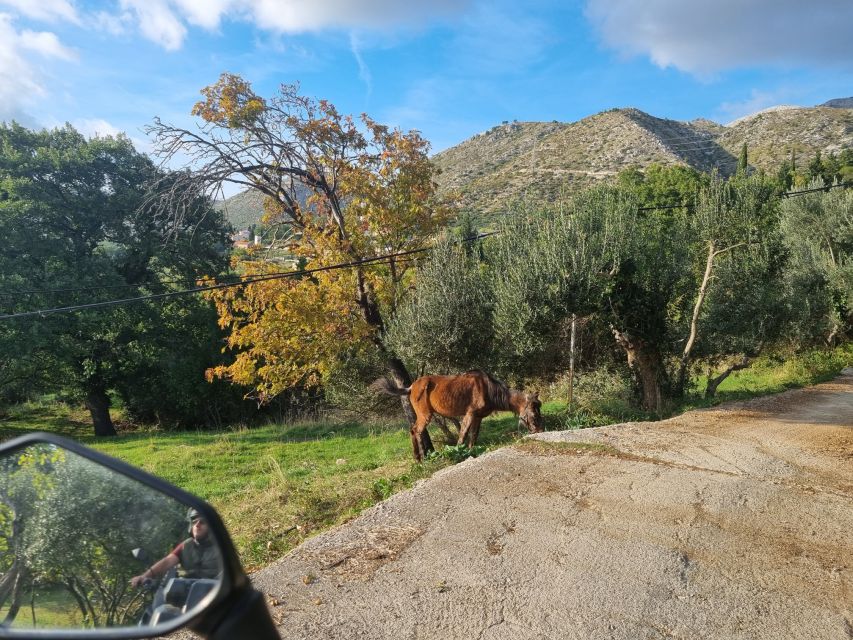 Dubrovnik: ATV Safari Tour With Hotel Transfers (3 Hour) - Customer Reviews and Tour Information