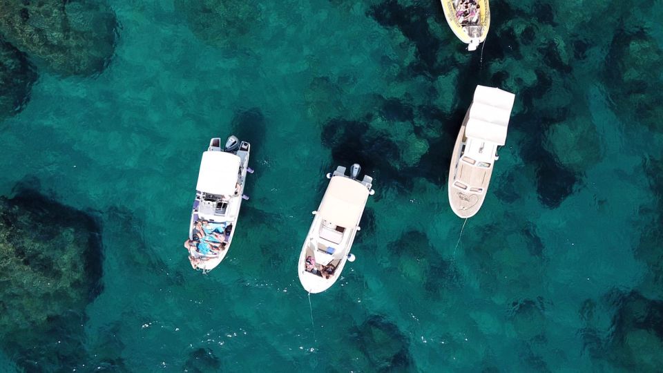 Dubrovnik/Cavtat: Private Elafiti Islands Speedboat Tour - Common questions