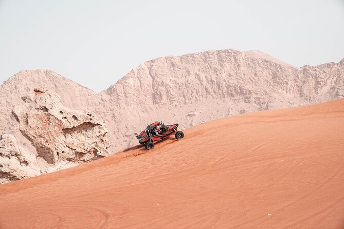 Dune Buggy Safari With Private Dinner in The Desert (2 Seater) - Last Words