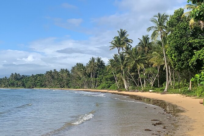 Dunk Island & Secret Cassowary Islands Cairns Day Return - Dining and Refreshment Options