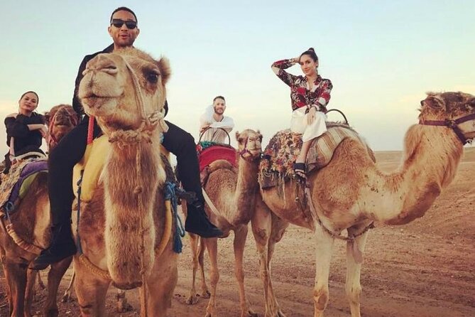 DXB Morning Desert Safari With Camel Ride & Sand Boarding - Reviews Breakdown