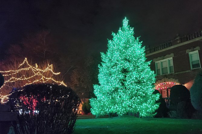 Dyker Heights Christmas Lights Guided Tour - Background