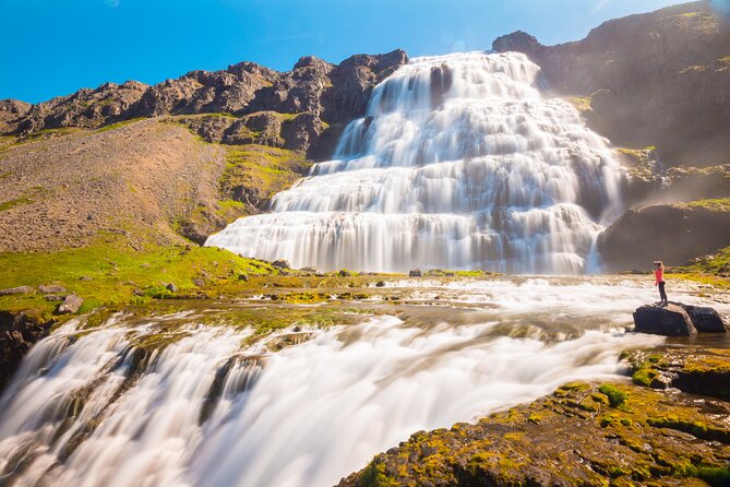 Dynjandi Waterfall & Iceland Farm Visit Tour - Farm Visit Experience