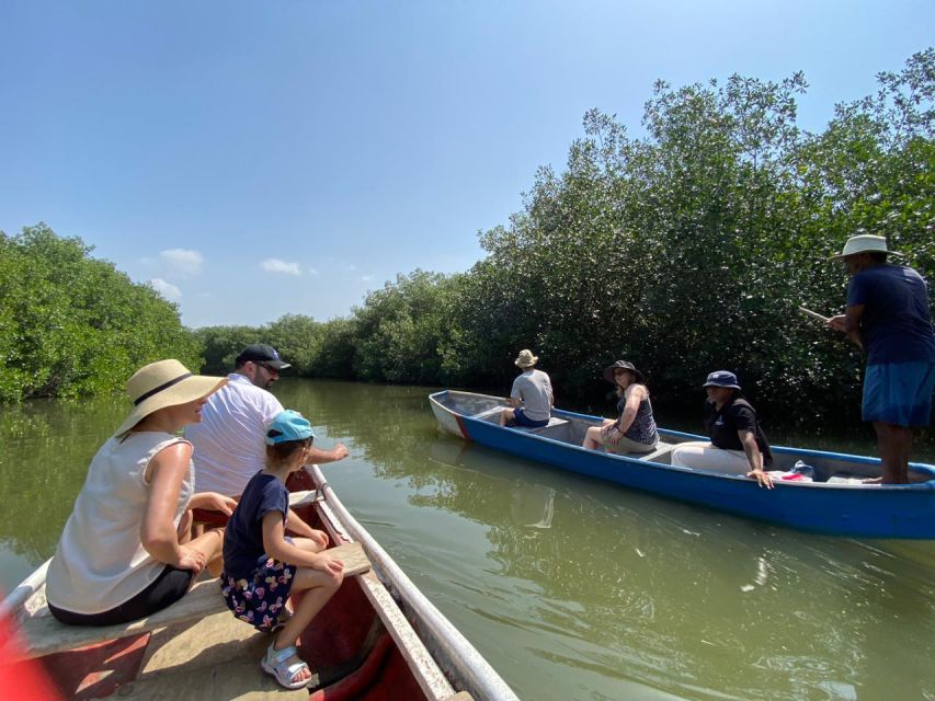 Ecotour and Fishing in Cartagena's Natural Mangrove - Customer Reviews and Feedback