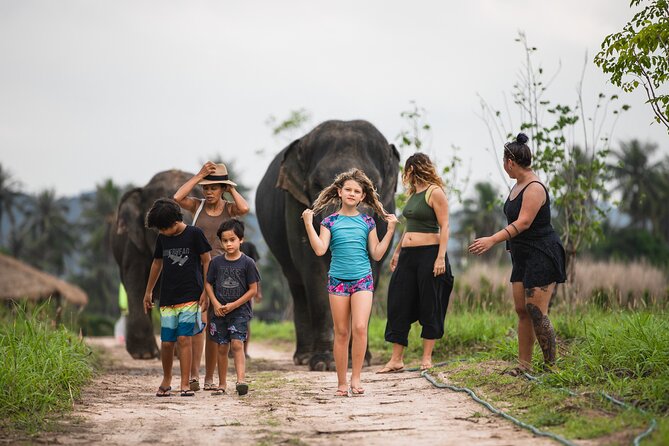 Elephant Jungle Sanctuary: Half Day Afternoon Program - Cancellation Policy
