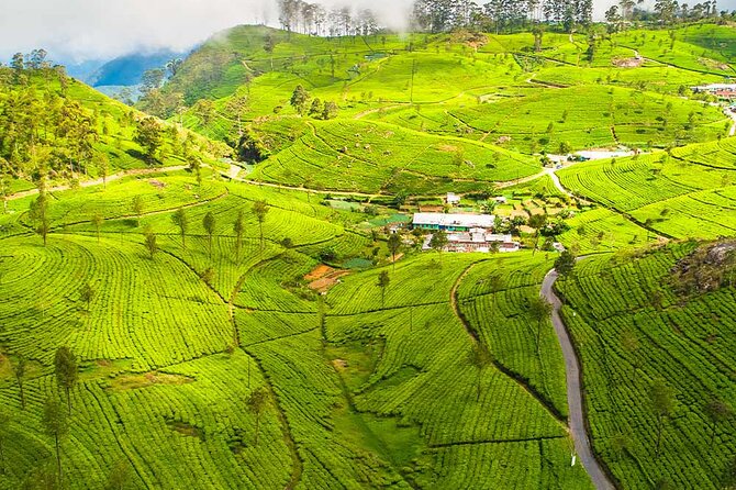 Ella 2-Night Private Tour  - Nuwara Eliya - Meeting and Pickup Logistics