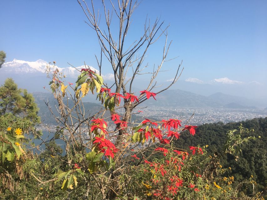 Entite Pokhara Day Tour by Private Car With Guide - Directions for the Tour