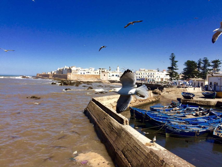 Essaouira Day Trip From Marrakech With Transfers - Common questions