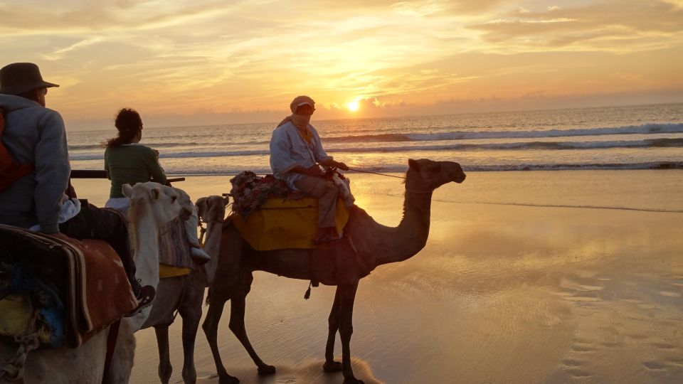 Essaouira: Guided 2h Dromedary Riding With Sunset - Common questions