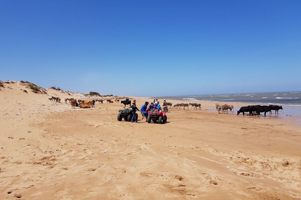 Essaouira: Guided Quad Biking Adventure - Safety Measures