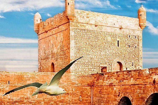 Essaouira Tour From Marrakech Shared Small-Group - Traveler Feedback