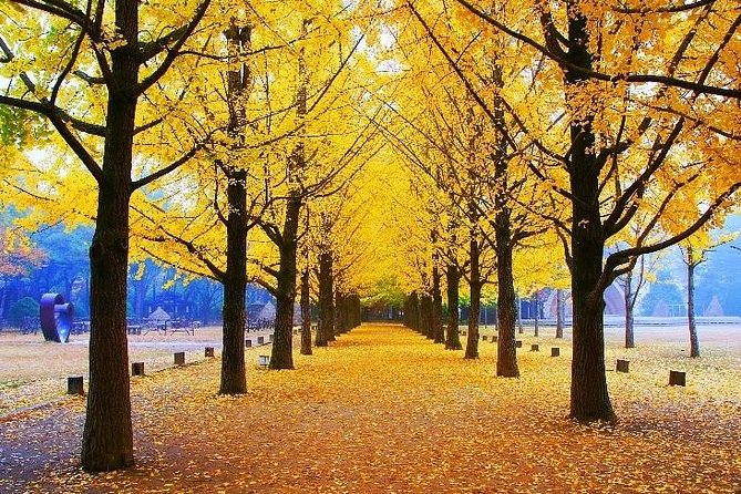Essential Autumn Foliage of Korea 3 Days With Sorak and Odaesan Mountain - Common questions
