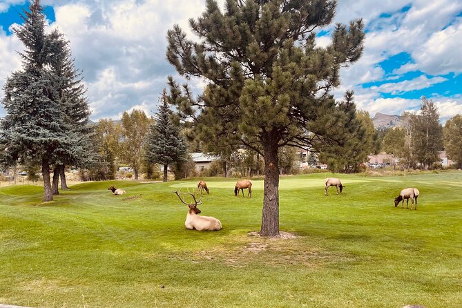 Estes Park Guided E-Bike Tour - Booking Information