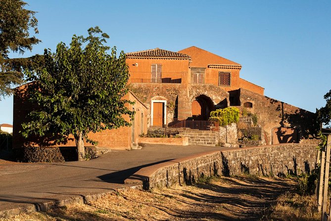 Etna DOC & Organic Wine Tasting and Tour of the 1815 Historic Winery - Last Words