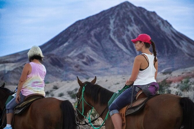 Evening Horseback Riding Tour - Guide Behavior and Guest Satisfaction