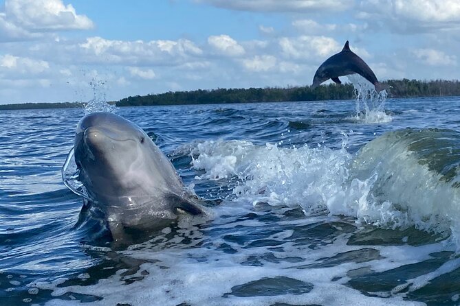 Everglades National Park Small Group Guided Boating and Walking Expedition - Safety Measures