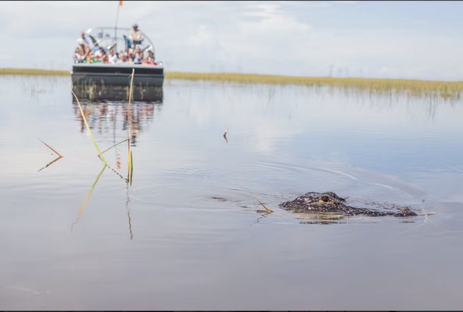 Everglades: Sawgrass Park Airboat Adventure Package - Common questions