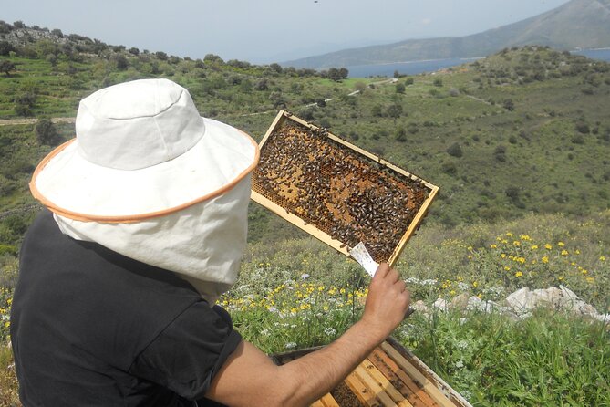 Evia Beekeeping Experience From a Local Beekeeper in Konistres - Last Words