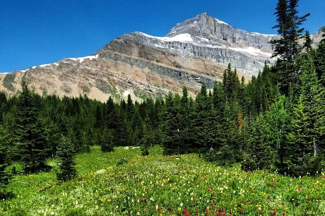 Exclusive Skoki Backcountry Guided Hiking in Lake Louise With Van Shuttle - Last Words