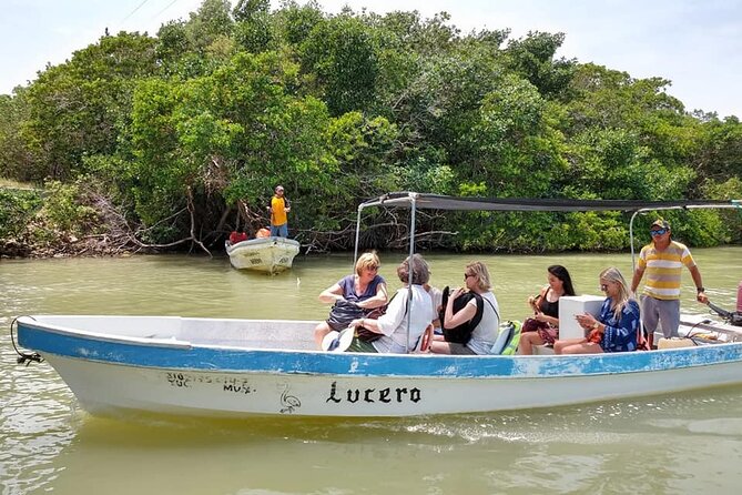Excursion Las Coloradas & Rio Lagartos Only From Cancun - Host Responses to Feedback