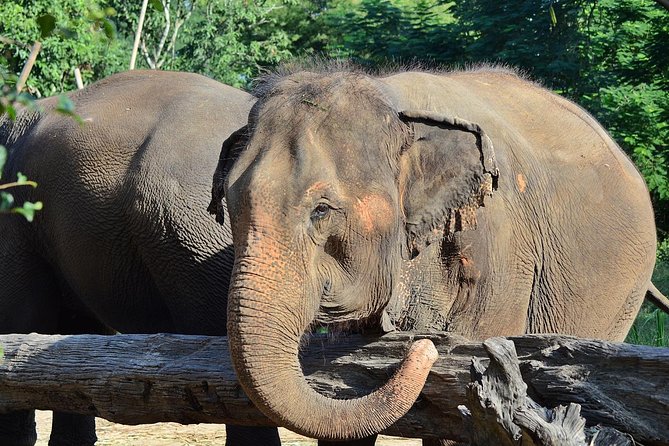 Experience Elephant Sanctuary Sticky Waterfall - Directions