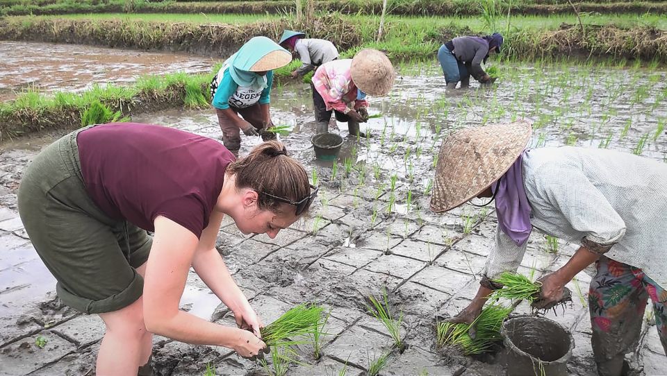 Exploring Borobudur, Prambanan, & Sewu Temples - Background Information